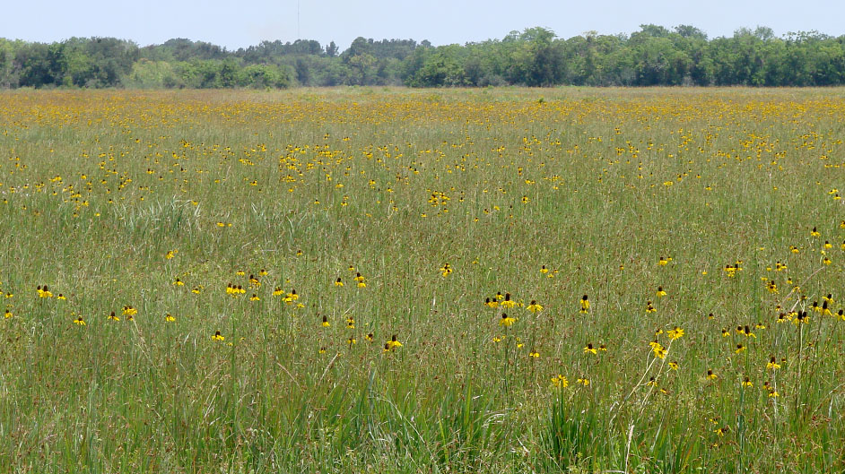 Aumann Prairie