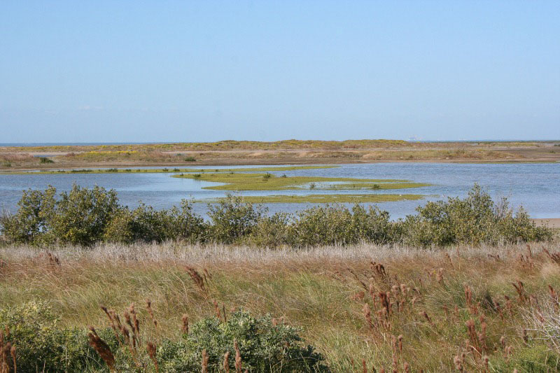 Mustang Island State Park