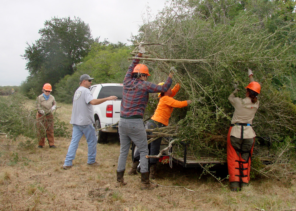 Texas Conservation Corps