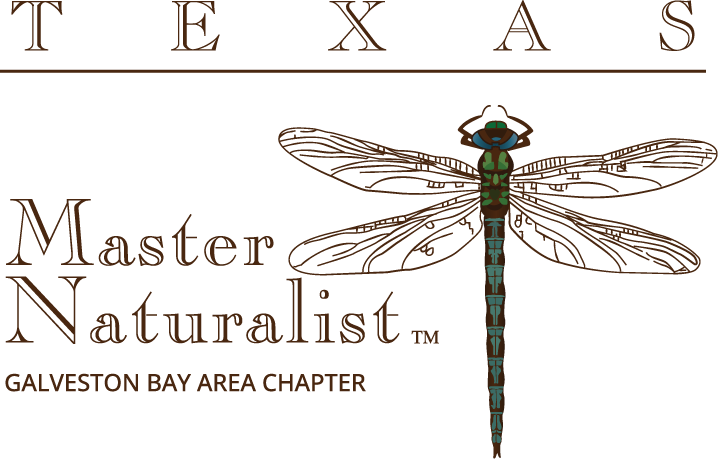 Texas Master Naturalist - Galveston Bay Area Chapter